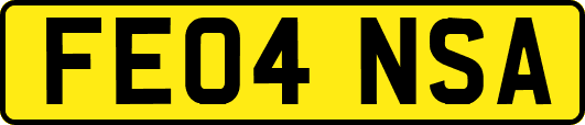 FE04NSA