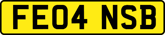 FE04NSB