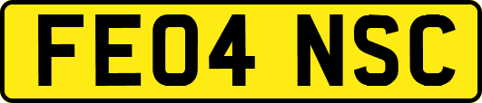 FE04NSC