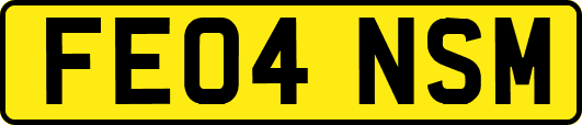 FE04NSM