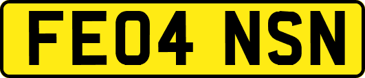 FE04NSN