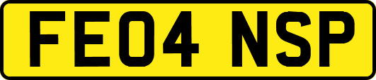 FE04NSP
