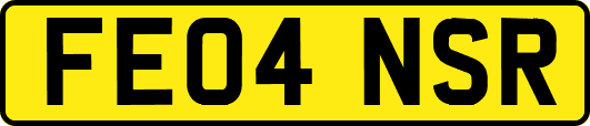 FE04NSR