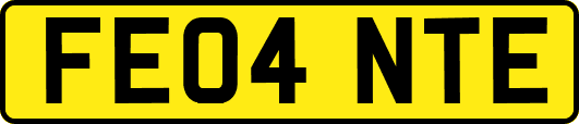 FE04NTE