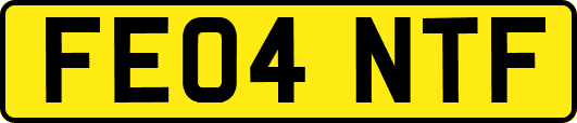 FE04NTF