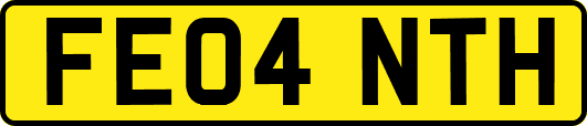 FE04NTH