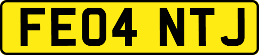 FE04NTJ