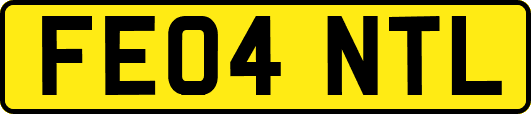 FE04NTL