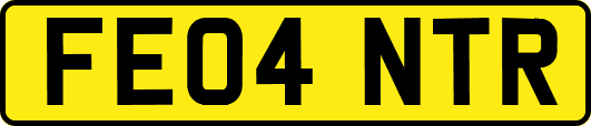 FE04NTR