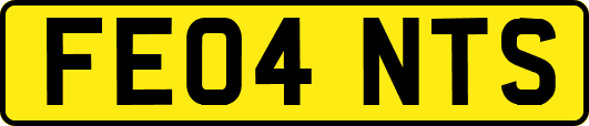 FE04NTS
