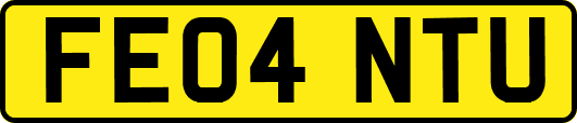 FE04NTU