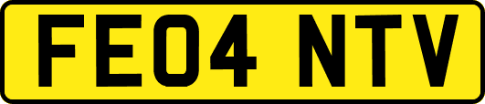 FE04NTV