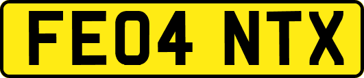 FE04NTX