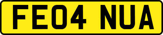 FE04NUA