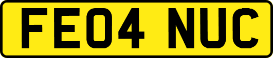 FE04NUC