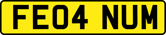 FE04NUM