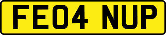 FE04NUP