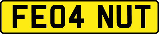 FE04NUT