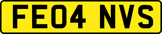FE04NVS