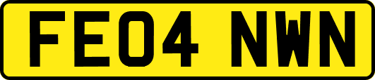 FE04NWN