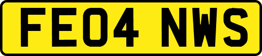 FE04NWS