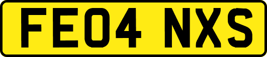 FE04NXS