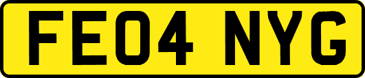 FE04NYG