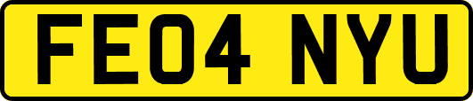 FE04NYU