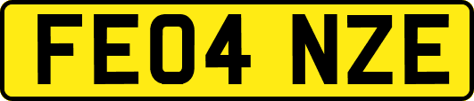 FE04NZE