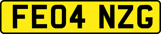 FE04NZG