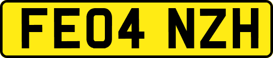 FE04NZH