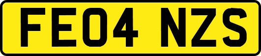 FE04NZS
