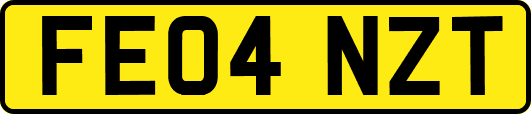 FE04NZT