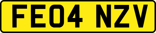 FE04NZV