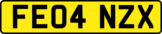 FE04NZX