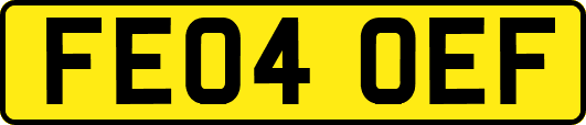 FE04OEF
