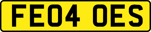 FE04OES