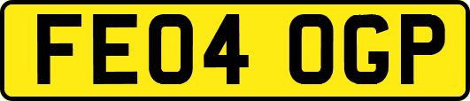 FE04OGP