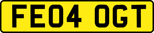 FE04OGT