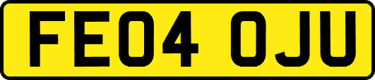 FE04OJU
