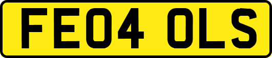 FE04OLS