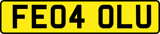 FE04OLU