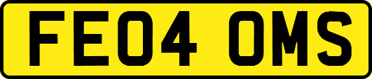 FE04OMS