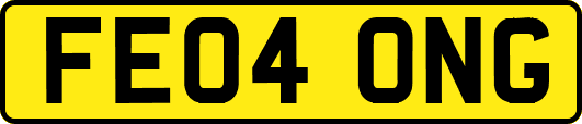 FE04ONG