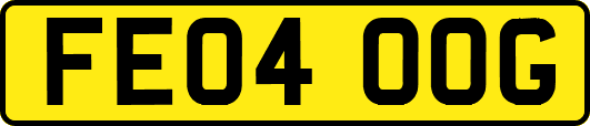 FE04OOG