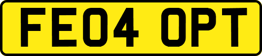 FE04OPT