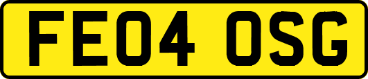 FE04OSG