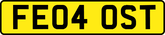FE04OST