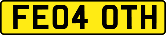 FE04OTH