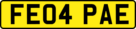 FE04PAE